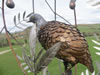 And a Partridge (detail) - Mild and stainless steel and resin bronze, approx  2.5 meters