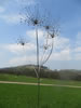 Sylvestris Gigantium - Stainless steel Approx 3.6 meters. Similar pieces can be commissioned